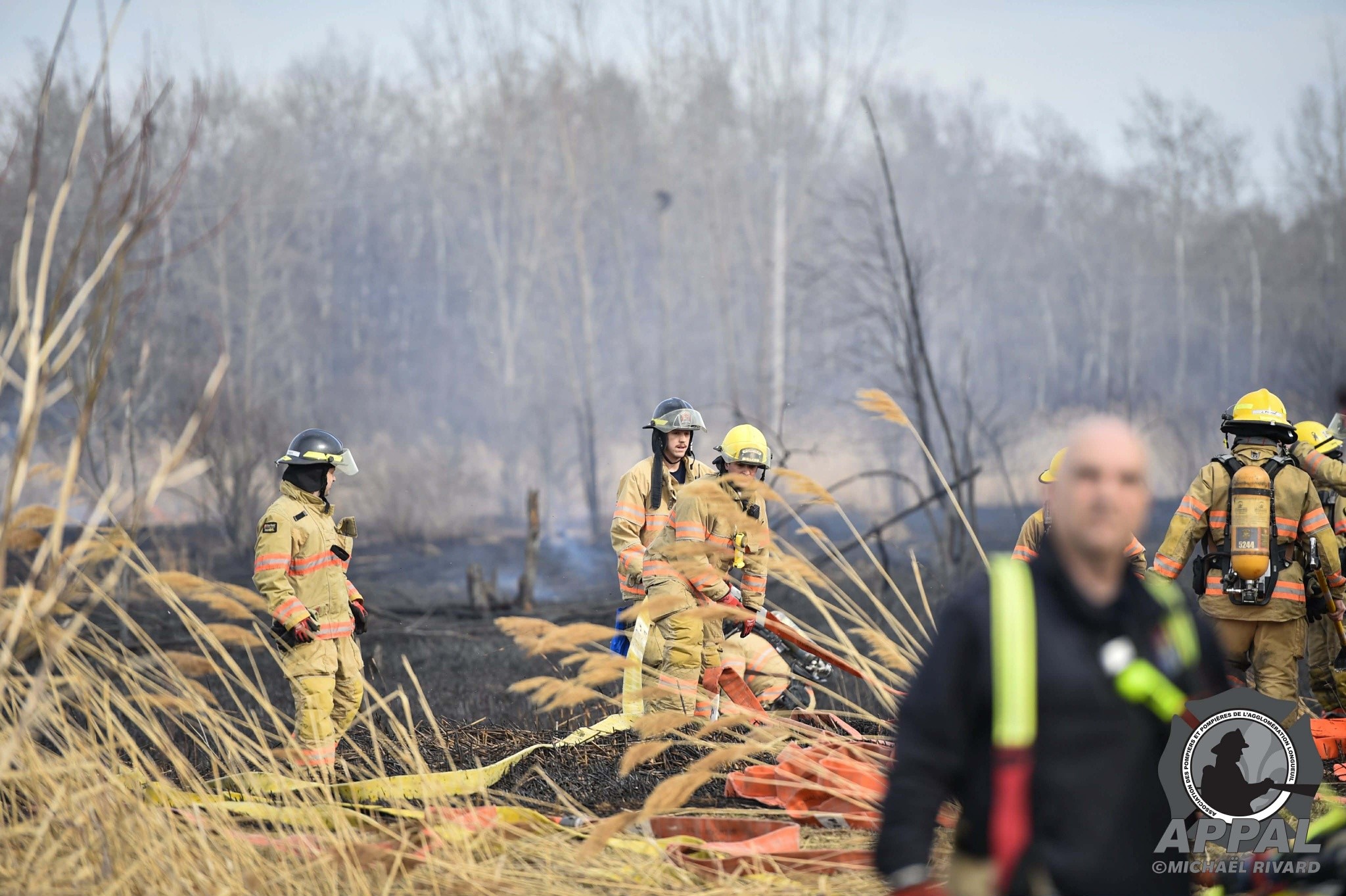 APPAL champ St-Hubert 2.jpg