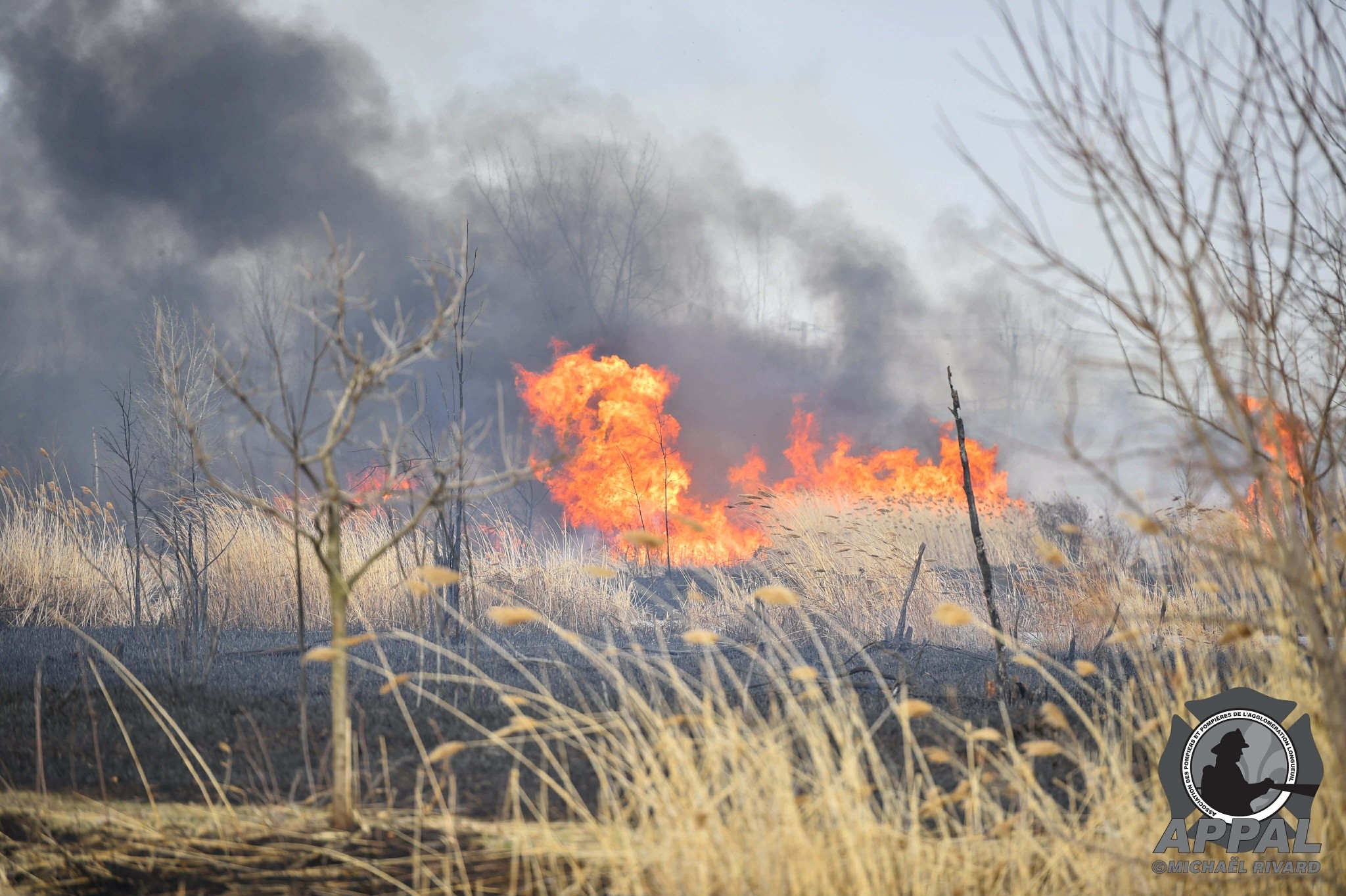 APPAL champ St-Hubert 3.jpg