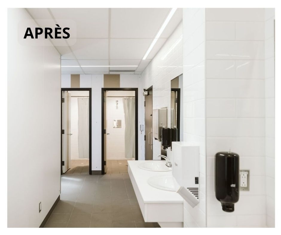 toilette.jpg